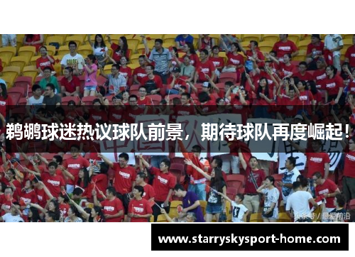 鹈鹕球迷热议球队前景，期待球队再度崛起！